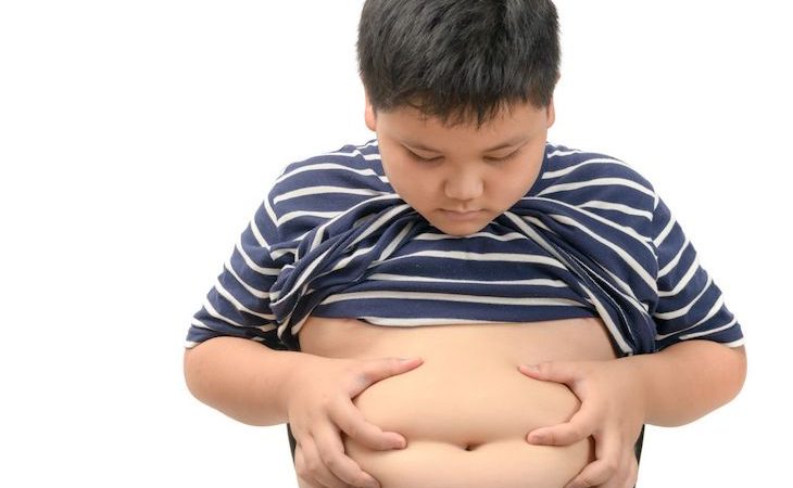 Plan de Gobierno para reducir la obesidad infantil